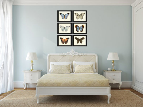 Butterfly Wall Art Set of 6 Prints Beautiful Antique Vintage Blue Green Butterfly Chart Interior Design Decoration Home Decor to Frame LPH