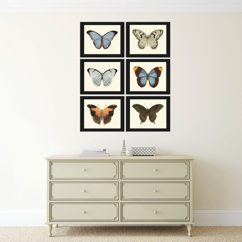 Butterfly Wall Art Set of 6 Prints Beautiful Antique Vintage Blue Green Butterfly Chart Interior Design Decoration Home Decor to Frame LPH