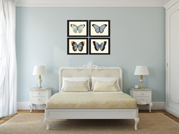 Blue Butterfly Wall Art Set of 4 Prints Beautiful Antique Vintage Pretty Butterfly Chart Interior Design Decoration Home Decor to Frame LPH