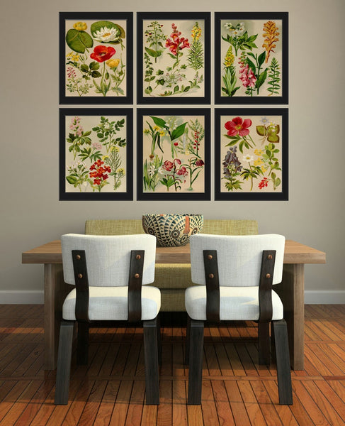 Wildflower Botanical Prints Wall Art Set of 6 Beautiful Antique Vintage Country Field Outdoor Nature Farmhouse Home Room Decor to Frame BNF