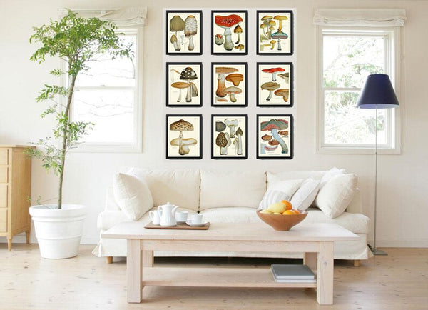 Vintage Mushroom Botanical Wall Art Set of 9 Prints Beautiful Antique Kitchen Dining Room Forest Nature Rustic Home Decor to Frame EDM