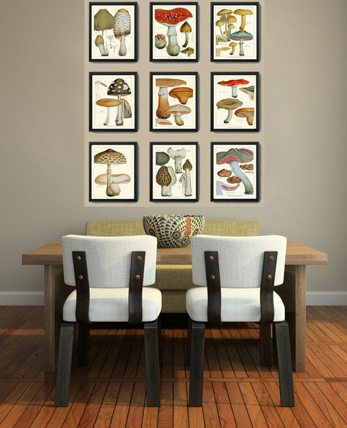 Vintage Mushroom Botanical Wall Art Set of 9 Prints Beautiful Antique Kitchen Dining Room Forest Nature Rustic Home Decor to Frame EDM