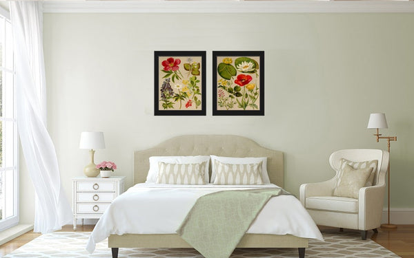 Wildflower Botanical Prints Wall Art Set of 2 Beautiful Antique Vintage Red Poppy Gardening Flowers Botanical Home Room Decor to Frame BNF