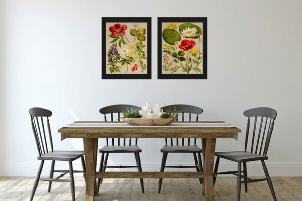 Wildflower Botanical Prints Wall Art Set of 2 Beautiful Antique Vintage Red Poppy Gardening Flowers Botanical Home Room Decor to Frame BNF