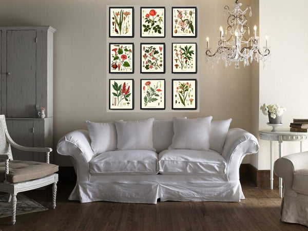Botanical Wall Art Set of 9 Prints Beautiful Antique Vintage Red Pink Flowers Blooming Almond Roses Garden Home Room Decor to Frame KOH