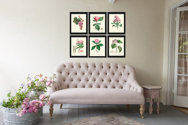 Botanical Pink Flowers Wall Art Set of 6 Prints Beautiful Antique Vintage Romantic Grapes Magnolia Lilac Hydrangea Home Decor to Frame TDA