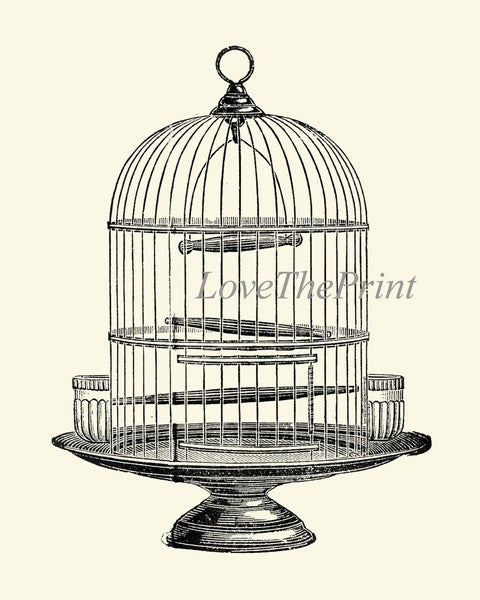 Vintage Antique Bird Cage Wall Art Set of 3 Prints Beautiful Black and White Illustration Picture Decoration Home Room Decor to Frame PRI