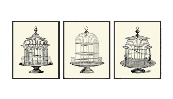 Vintage Antique Bird Cage Wall Art Set of 3 Prints Beautiful Black and White Illustration Picture Decoration Home Room Decor to Frame PRI