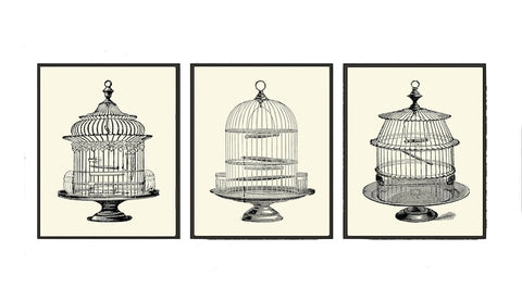 Vintage Antique Bird Cage Wall Art Set of 3 Prints Beautiful Black and White Illustration Picture Decoration Home Room Decor to Frame PRI