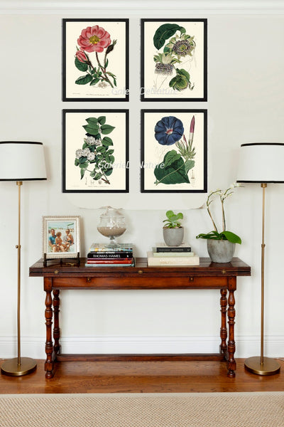 Botanical Print Set of 4 Prints Beautiful Antique Wall Art Rose Passion Flower Jasmin Blue Morning Glory Flowers Home Decor to Frame ED