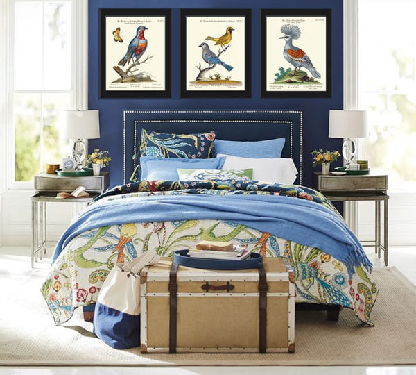 Blue Birds Nest Wall Art Prints Set of 4 Beautiful Antique Forest Outdoor Nature Illustration Picture Decoration Home Decor to Frame MCT