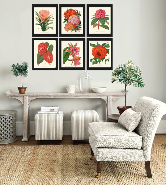Tropical Flower Plants Botanical Wall Art Set of 6 Prints Beautiful Red Orange Pink Rhododendron Cactus Anthurium Home Decor to Frame PAXT