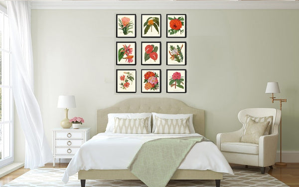 Colorful Tropical Flower Home Decor Botanical Prints Wall Art Set of 9 Beautiful Southern Garden Plants Gallery Azalea Cactus to Frame PAXT