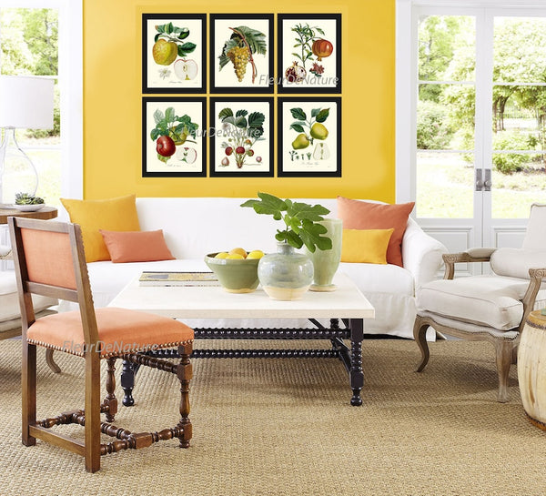 Fruit Prints Wall Art Set of 6 Beautiful Botanical Vintage Apple Grapes Pomegranate Strawberry Pear Kitchen Dining Room Decor to Frame POIT