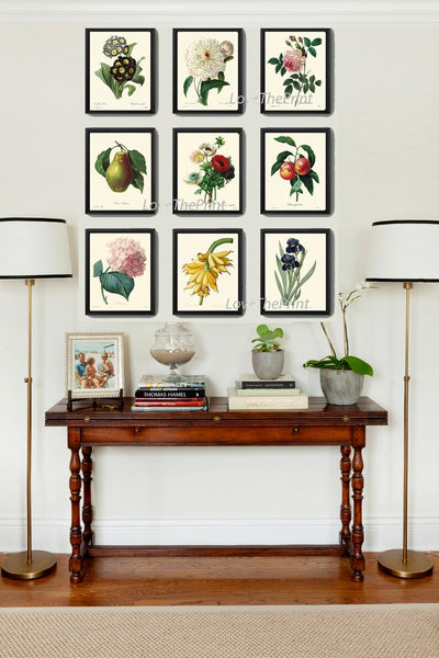 Botanical Prints Wall Art Set of 9 Beautiful Antique Vintage Flowers Fruit Hydrangea Iris Peony Banana Pear Home Room Decor to Frame REDT