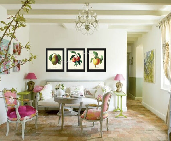 Fruit Botanical Wall Art Set of 3 Prints Beautiful Vintage Antique Pear Peach Apple Dining Room Kitchen Farmhouse Home Decor to Frame REDT