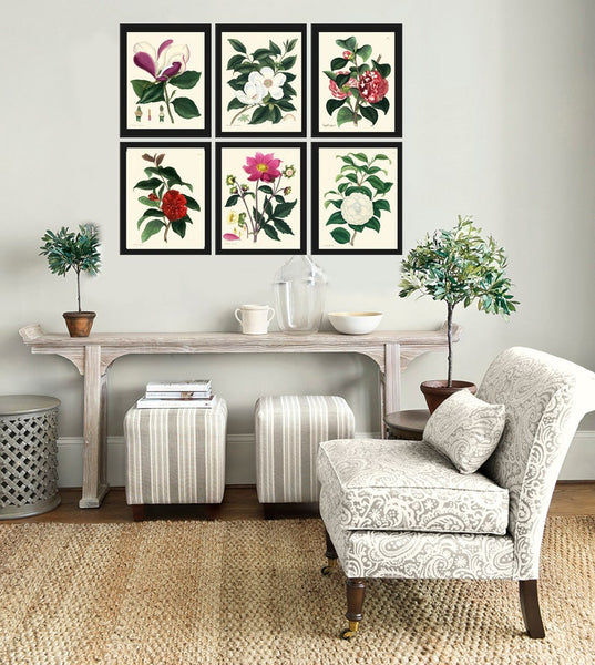 Botanical Wall Art Set of 6 Prints Beautiful White Pink Red Magnolia Camellia Dahlia Green Spring Garden Home Room Decor to Frame HA