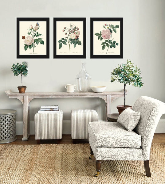 Botanical Print Set of 3 Roses Wall Art Beautiful Antique Vintage White Pink Flowers Romantic Shabby Chic Home Room Decor to Frame REDT