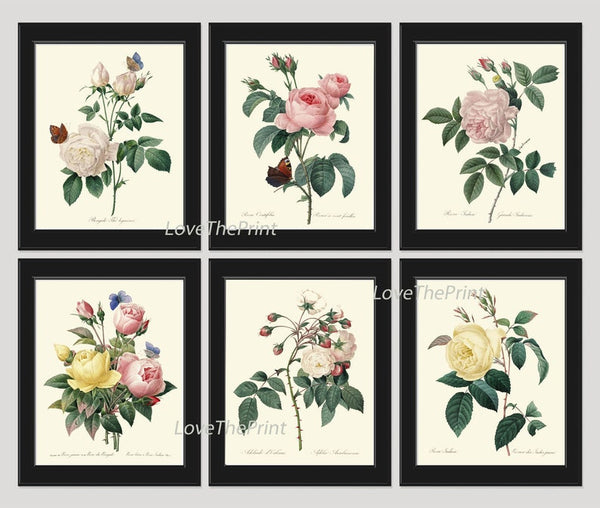 Vintage Roses Botanical Wall Art Set of 6 Prints Beautiful White Pink Yellow Roses Butterflies Spring Garden Home Room Decor to Frame REDT