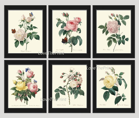 Vintage Roses Botanical Wall Art Set of 6 Prints Beautiful White Pink Yellow Roses Butterflies Spring Garden Home Room Decor to Frame REDT