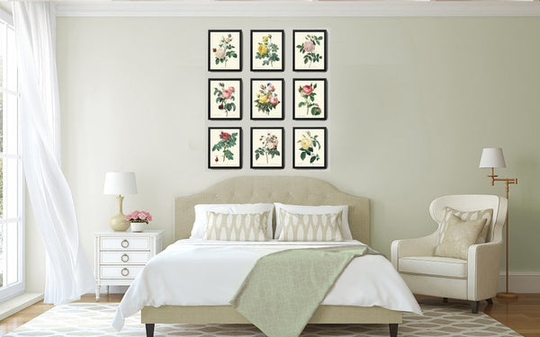 French Roses Prints Botanical Vintage Antique Wall Art Set of 9 Beautiful White Pink Yellow Flowers Floral Home Room Decor to Frame REDT