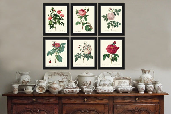 Vintage Roses Botanical Wall Art Set of 6 Prints Beautiful White Pink Red Roses Bedroom Dining Room Garden Home Room Decor to Frame REDT