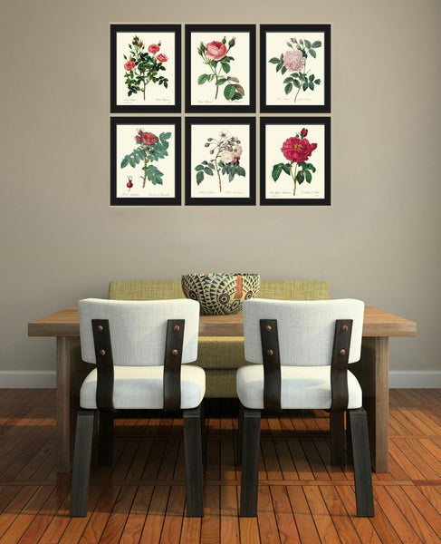Vintage Roses Botanical Wall Art Set of 6 Prints Beautiful White Pink Red Roses Bedroom Dining Room Garden Home Room Decor to Frame REDT