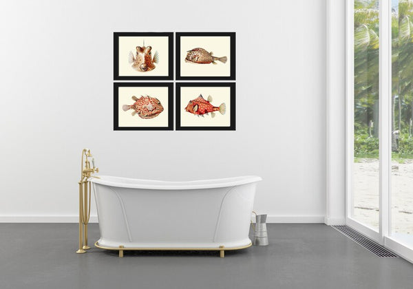 Tropical Fish Wall Art Set of 4 Prints Beautiful Antique Vintage Sea Ocean Beach House Decoration Bathroom Office Home Decor to Frame FH