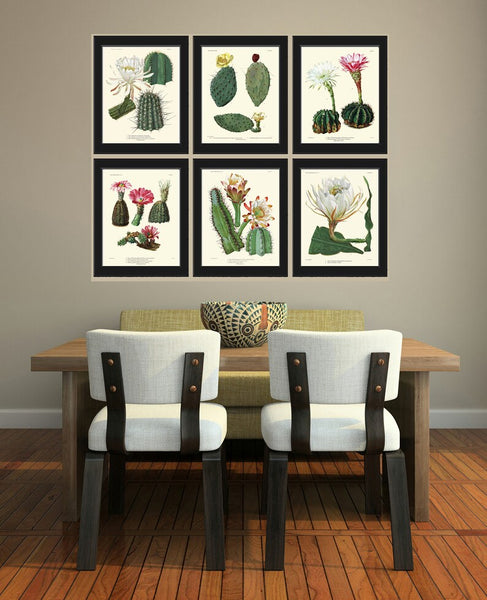 Vintage Cactus Plant Botanical Wall Art Set of 6 Prints Beautiful Antique Blooming Flowers Exotic Tropical Home Room Decor to Frame CACT