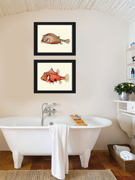 Tropical Fish Prints Wall Art Set of 2 Beautiful Antique Vintage Puffer Box Fish Sea Ocean Beach House Nature Home Room Decor to Frame FH