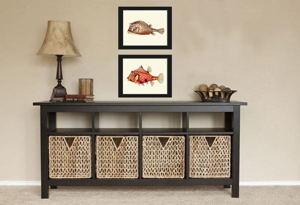 Tropical Fish Prints Wall Art Set of 2 Beautiful Antique Vintage Puffer Box Fish Sea Ocean Beach House Nature Home Room Decor to Frame FH