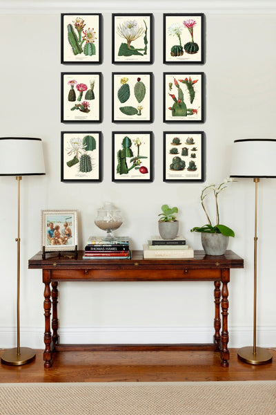 Cactus Botanical Wall Art Set of 9 Prints Beautiful Pink White Blooming Cactuses Tropical Exotic Garden Plants Home Decor to Frame CACT