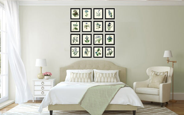 Blue Flowers Botanical Wall Art Set of 16 Prints Beautiful Antique Vintage Large Gallery Interior Design Designer Home Decor to Frame RE