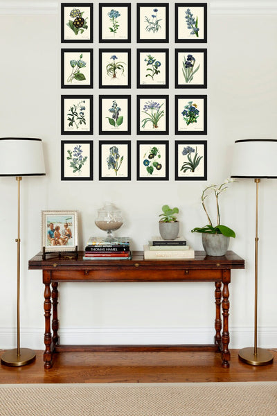 Blue Flowers Botanical Wall Art Set of 16 Prints Beautiful Antique Vintage Large Gallery Interior Design Designer Home Decor to Frame RE