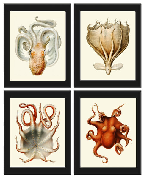 Octopus Prints Wall Art Set of 4 Beautiful Antique Vintage Sea Ocean Beach Tropical Bathroom Bedroom Hallway Office Home Decor to Frame SC