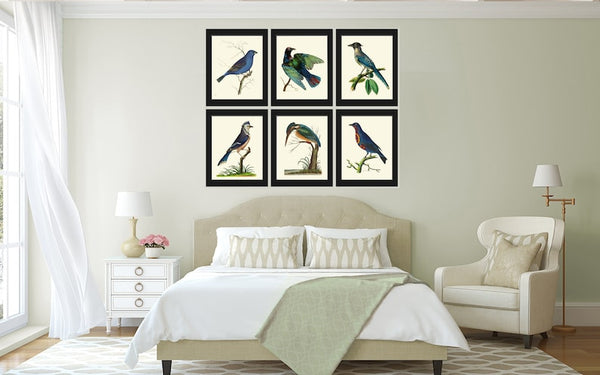 Blue Birds Wall Art Print Set of 6 Prints Antique Vintage Bluebird Blue Jay Kingfisher Bedroom Dining Room Interior Home Decor to Frame BNOD