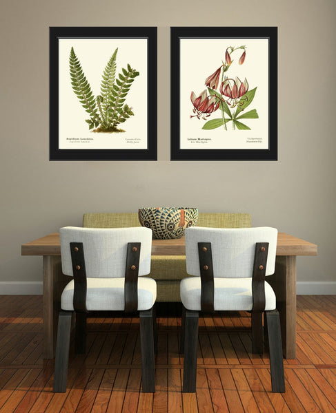 Green Fern Wild Lily Botanical Prints Wall Art Set of 2 Beautiful Antique Vintage Cottage Farmhouse Cabin Nature Home Decor to Frame AFS