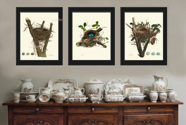 Bird Nest Print Wall Art Set of 3 Antique Vintage Farmhouse Cottage Rustic Country Forest Outdoor Nature Blue Eggs Home Decor to Frame NEST