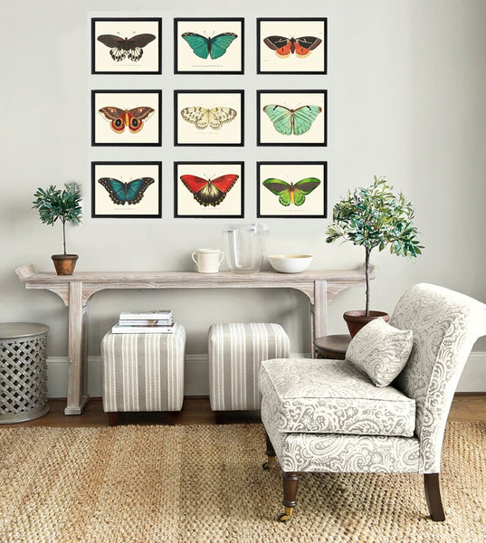 Vintage Butterfly Prints Wall Art Set of 9 Beautiful Antique Aqua Blue Red Orange Green Colorful Garden Nature Home Decor to Frame BNOD