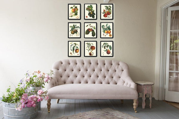 Vintage Fruit Wall Art Set of 9 Prints Kitchen Dining Room Beautiful Botanical Home Decor to Frame Apple Pear Cherry Fig Peach Trees LF