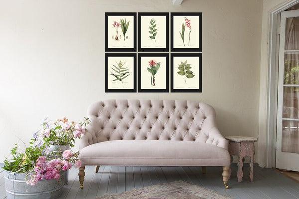 Botanical Prints Wall Art Set of 6 Beautiful Antique Vintage Pink Leaf Fern Flowers Floral Interior Spring Garden Home Decor to Frame REDT