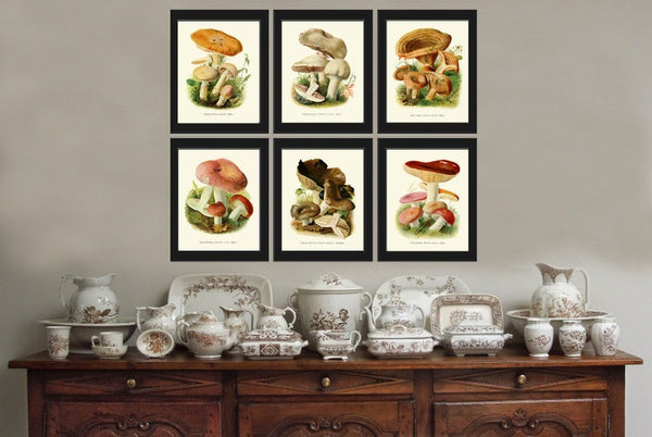 Mushrooms Wall Decor Botanical Art Set of 6 Prints Beautiful Antique Vintage Rustic Country Farm Farmhouse Kitchen Dining Room to Frame PDH
