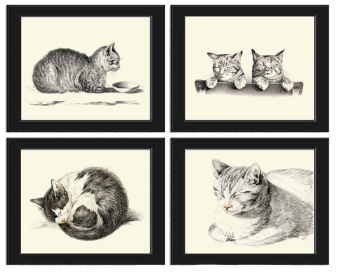 Cat Illustration Drawing Wall Art Print Set of 4 Beautiful Antique Vintage Kitty Kitten Cute Pet Animal Picture Home Room Decor to Frame JB