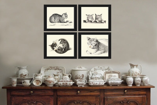 Cat Illustration Drawing Wall Art Print Set of 4 Beautiful Antique Vintage Kitty Kitten Cute Pet Animal Picture Home Room Decor to Frame JB