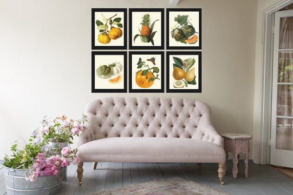 Fruit Wall Decor Prints Art Set 6 Beautiful Botanical Colorful Tropical Kitchen Dining Room Pear Pineapple Melon Orange Lemon to Frame LF