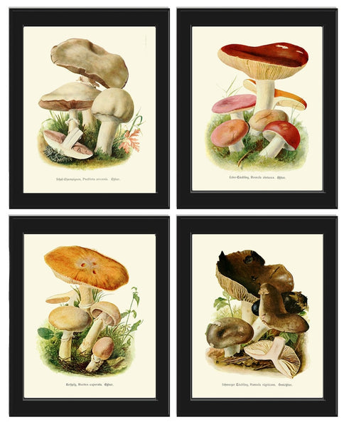 Mushrooms Botanical Home Decor Wall Art Set of 4 Prints Beautiful Colorful Forest Nature Cabin Rustic Farmhouse Kitchen Dining to Frame PDH