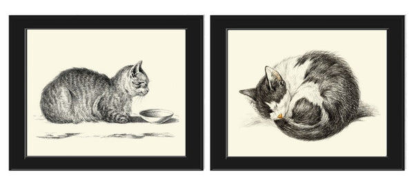 Cat Wall Art Print Set of 2 Prints Beautiful Antique Vintage Kitty Kitten Cute Pet Animal Drawing Illustration Home Room Decor to Frame JB