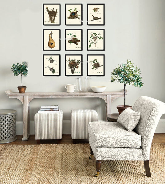 Vintage Bird Nest Eggs Prints Wall Art Set of 9 Beautiful Antique Cottage Farmhouse Birds Horizontal Orientation Home Decor to Frame NEST
