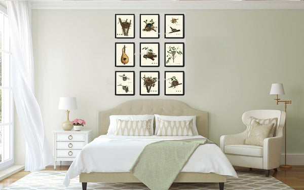 Vintage Bird Nest Eggs Prints Wall Art Set of 9 Beautiful Antique Cottage Farmhouse Birds Horizontal Orientation Home Decor to Frame NEST
