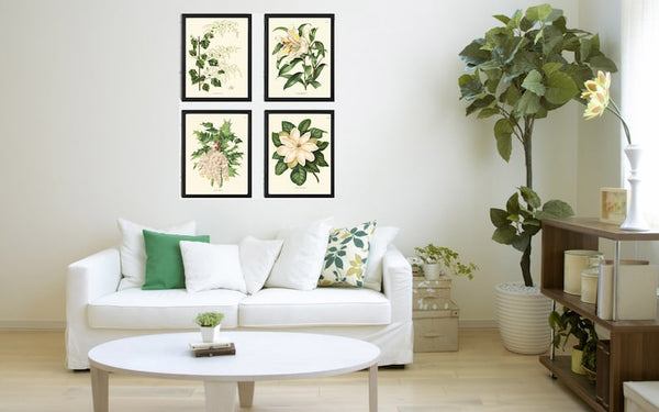 Magnolia White Flowers Botanical Wall Art Prints Set of 4 Beautiful Antique Vintage Blooming Tree Grapes Lily Green Home Decor to Frame AJW